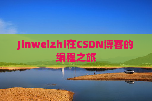 Jinweizhi在CSDN博客的编程之旅